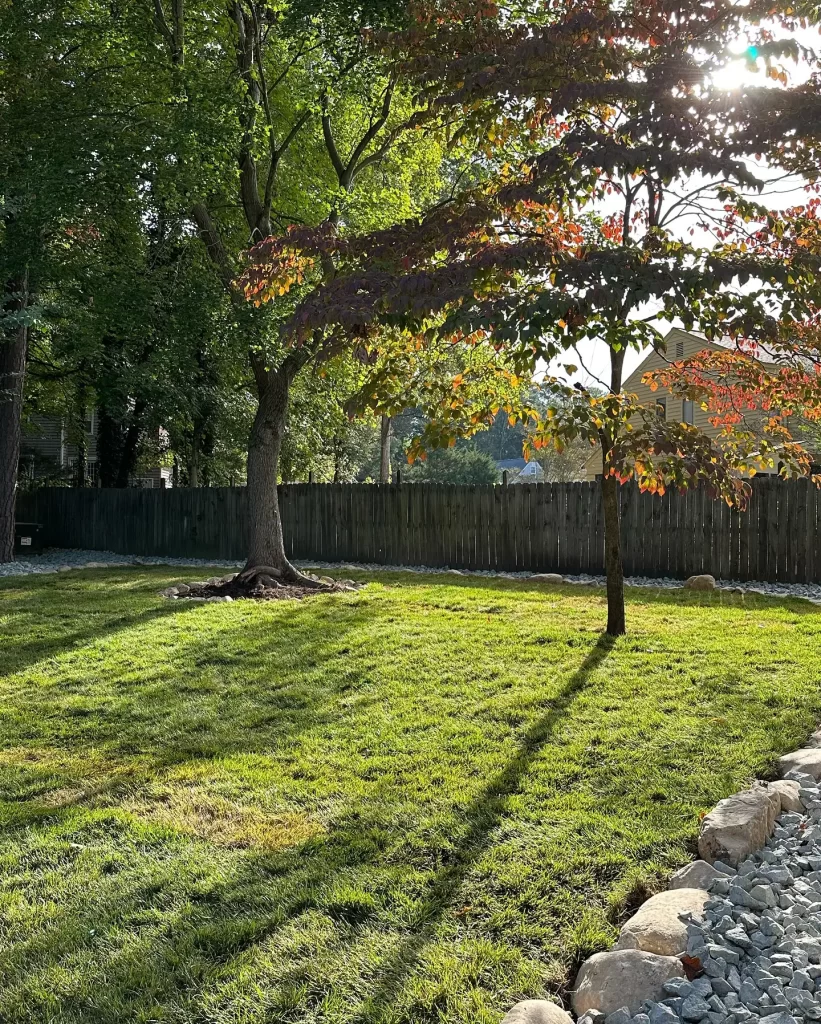 backyard with rock border with fresh sod installed in richmond va